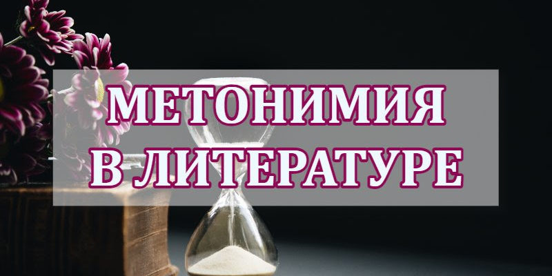 Метонимия в литературе