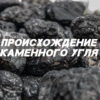 Происхождение каменного угля