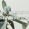 Как пишется во-первых
