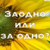 Заодно как пишется слитно или раздельно