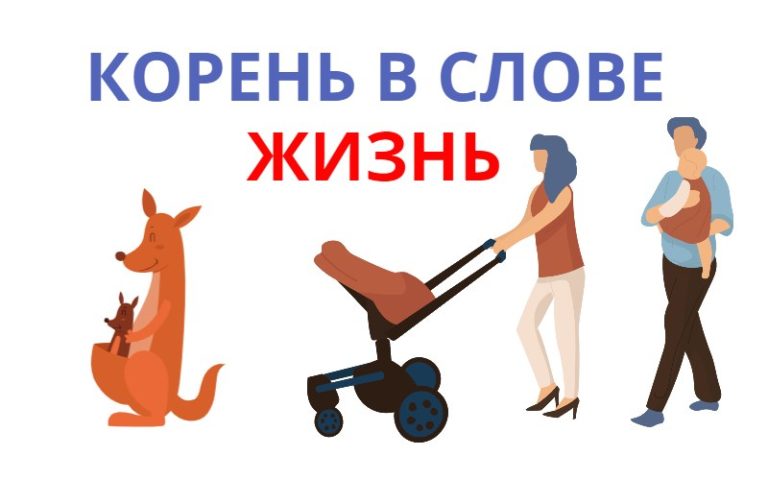 Корень в слове жизнь