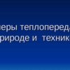 Примеры теплопередачи в природе и технике