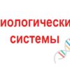 Биологические системы