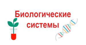 Биологические системы
