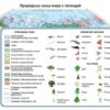 Какую информацию содержит легенда карты