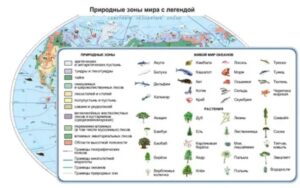 Какую информацию содержит легенда карты
