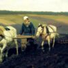 Указ о вольных хлебопашцах 1803 года