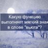 Какую функцию выполняет мягкий знак в слове вьюга
