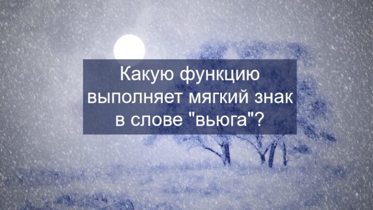 Какую функцию выполняет мягкий знак в слове вьюга