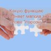В слове порознь какую функцию выполняет мягкий знак