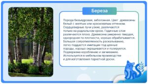Береза