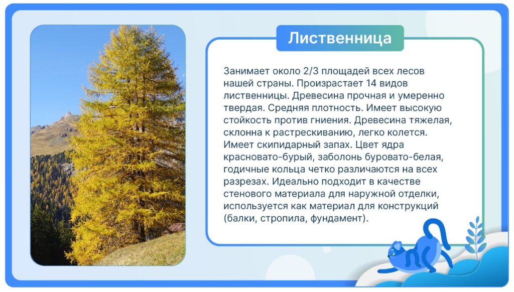Лиственница