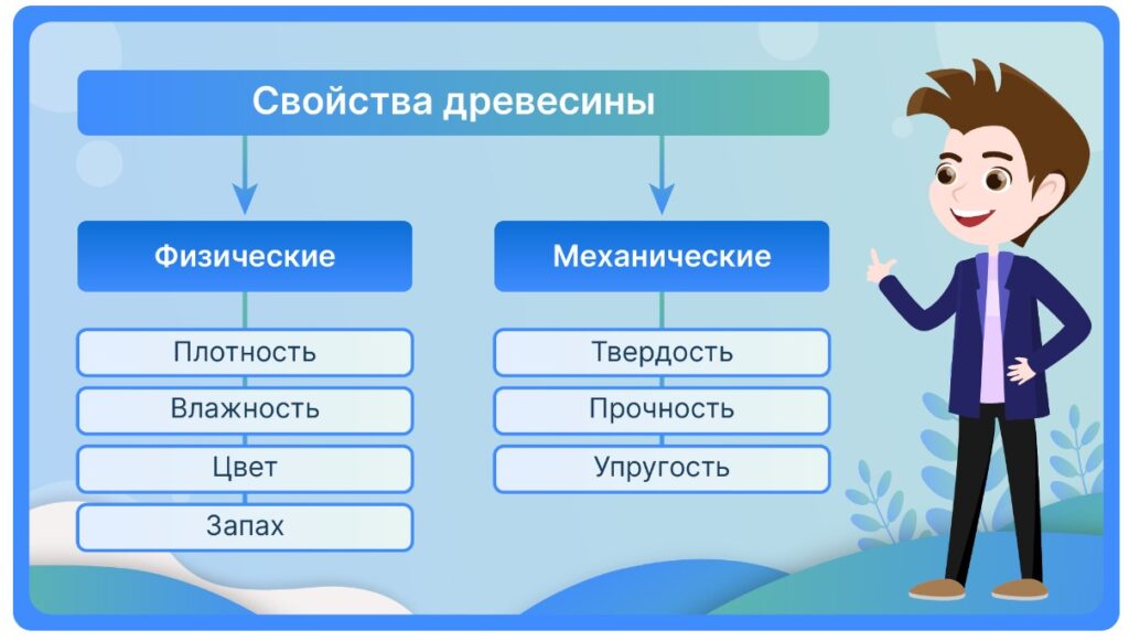 Свойства древесины