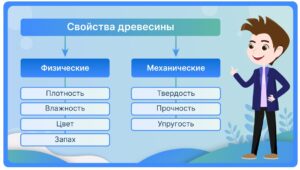 Свойства древесины