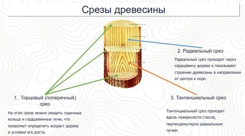 Срезы древесины