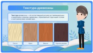 Текстура древесины
