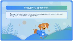 Твердость древесины
