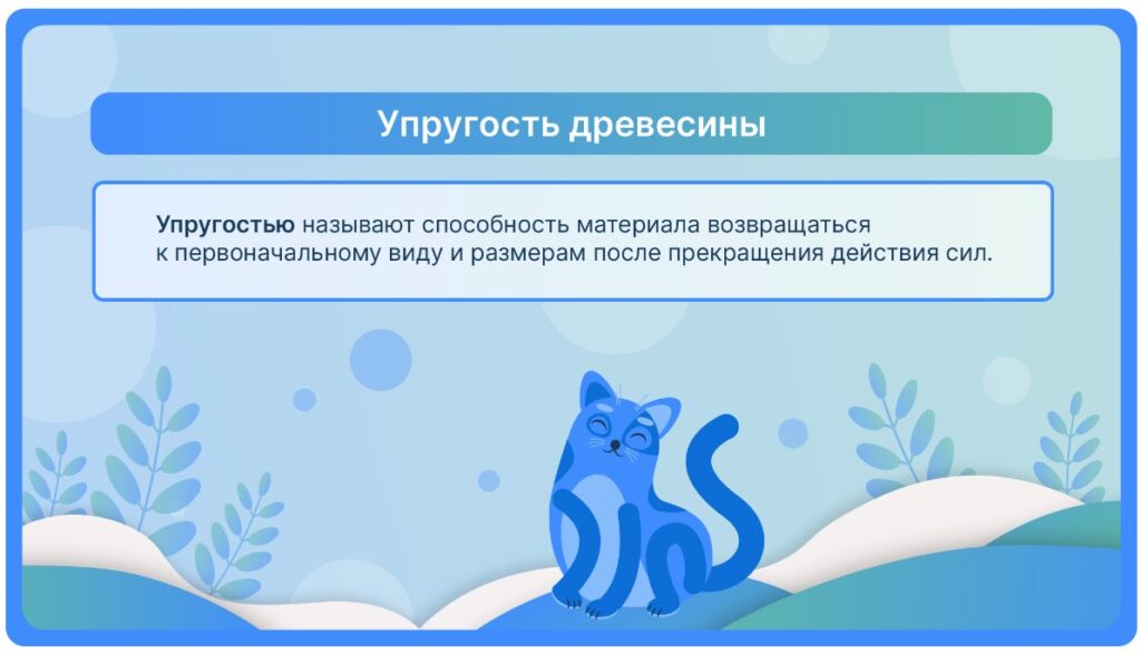 Упругость древесины