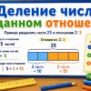 Деление числа в данном отношении