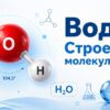 Вода. Строение молекулы воды.