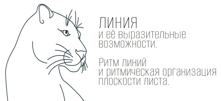 Линия и её выразительные возможности. Ритм линий и ритмическая организация плоскости листа.