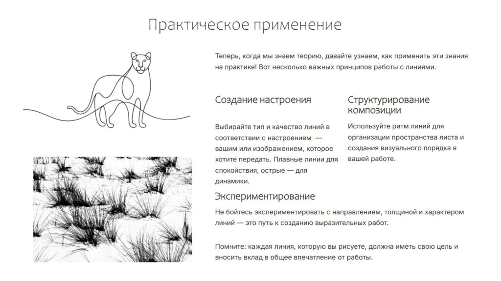 Линия и её выразительные возможности. Ритм линий и ритмическая организация плоскости листа.