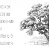 Пятно как средство выражения. Тон и тональные отношения.