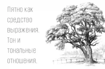 Пятно как средство выражения. Тон и тональные отношения.